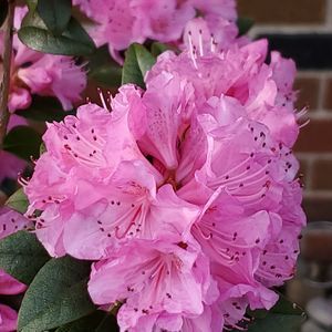 Meet your Posher, Sandy